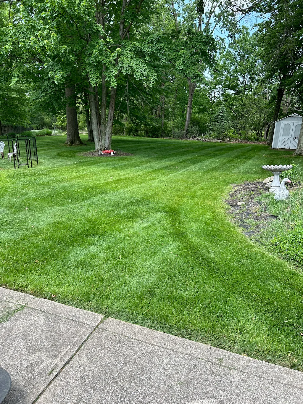Striped lawn pattern in Parma