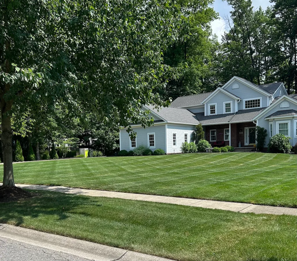 Precision edging along walkway