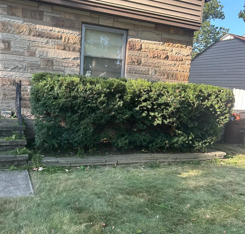 After professional landscaping service in Parma Ohio